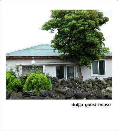 Jeju Daljip Guesthouse Exterior foto